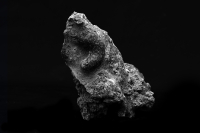 http://www.giuseppesannino.info/files/dimgs/thumb_0x200_2_16_216.jpg