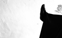 http://www.giuseppesannino.info/files/gimgs/th-12_2_v4.jpg